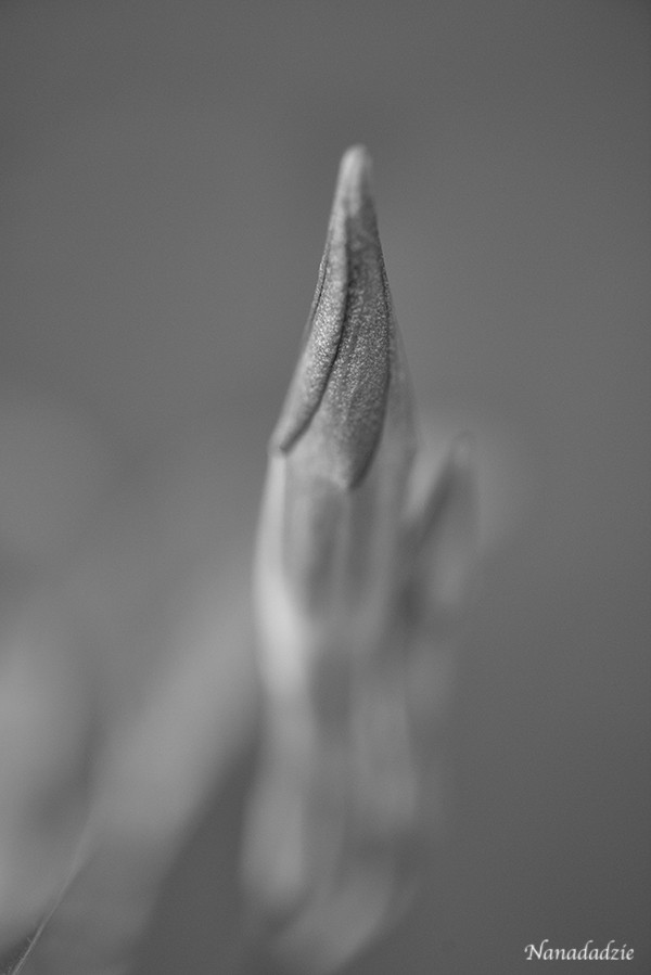 Abstracts 