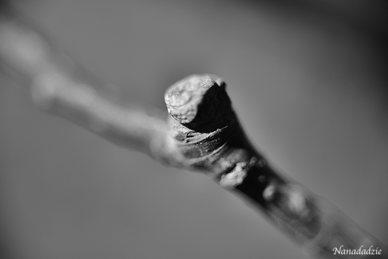 Abstracts 