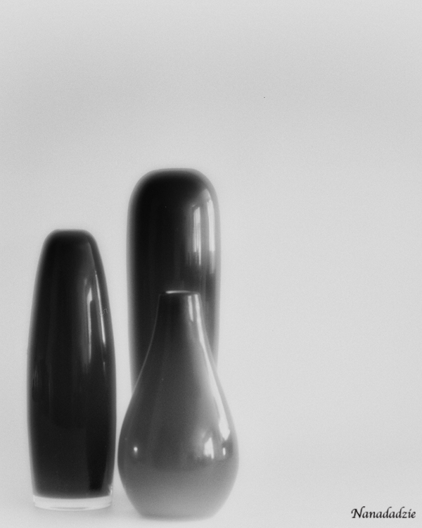 Still Lifes 