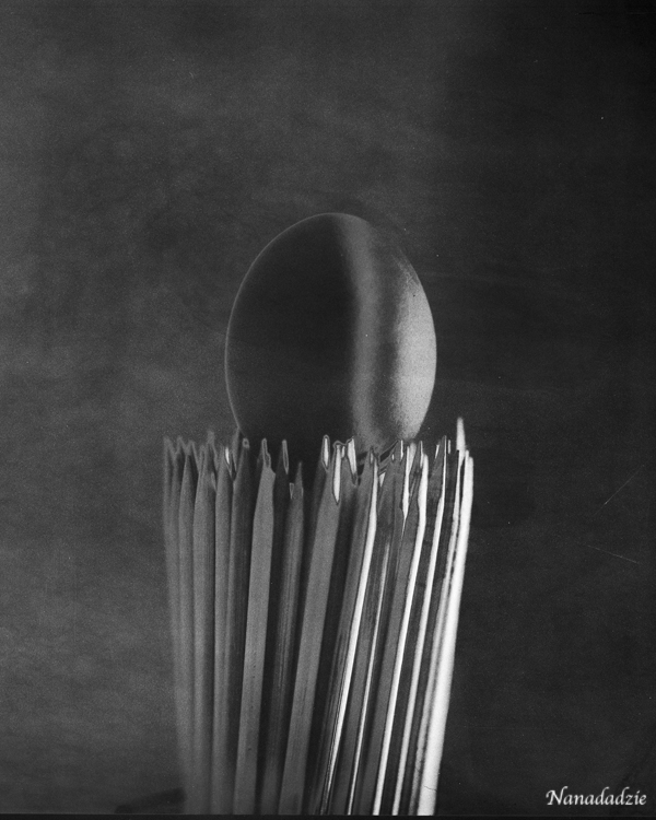 Still Lifes 