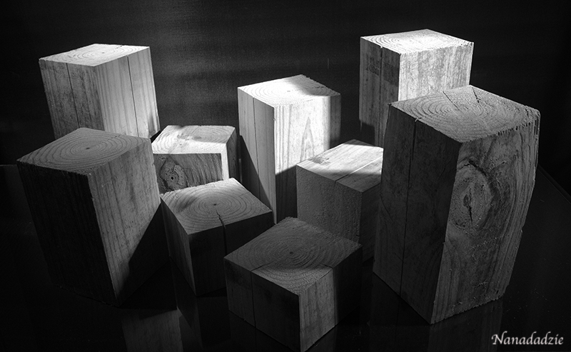 Still Lifes 
