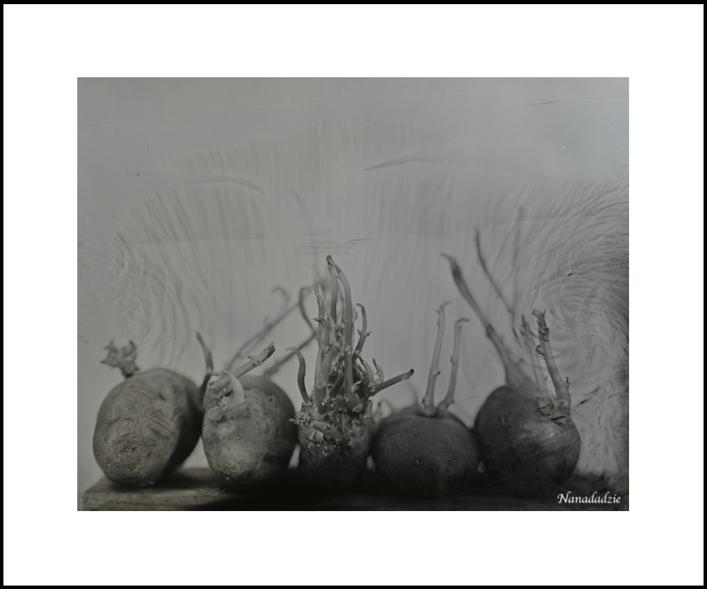 Wetplate - Other