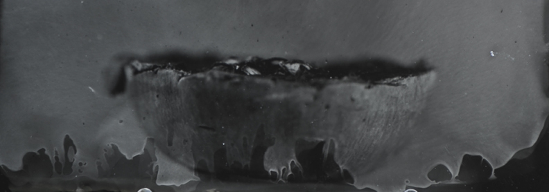 Wetplate - Other