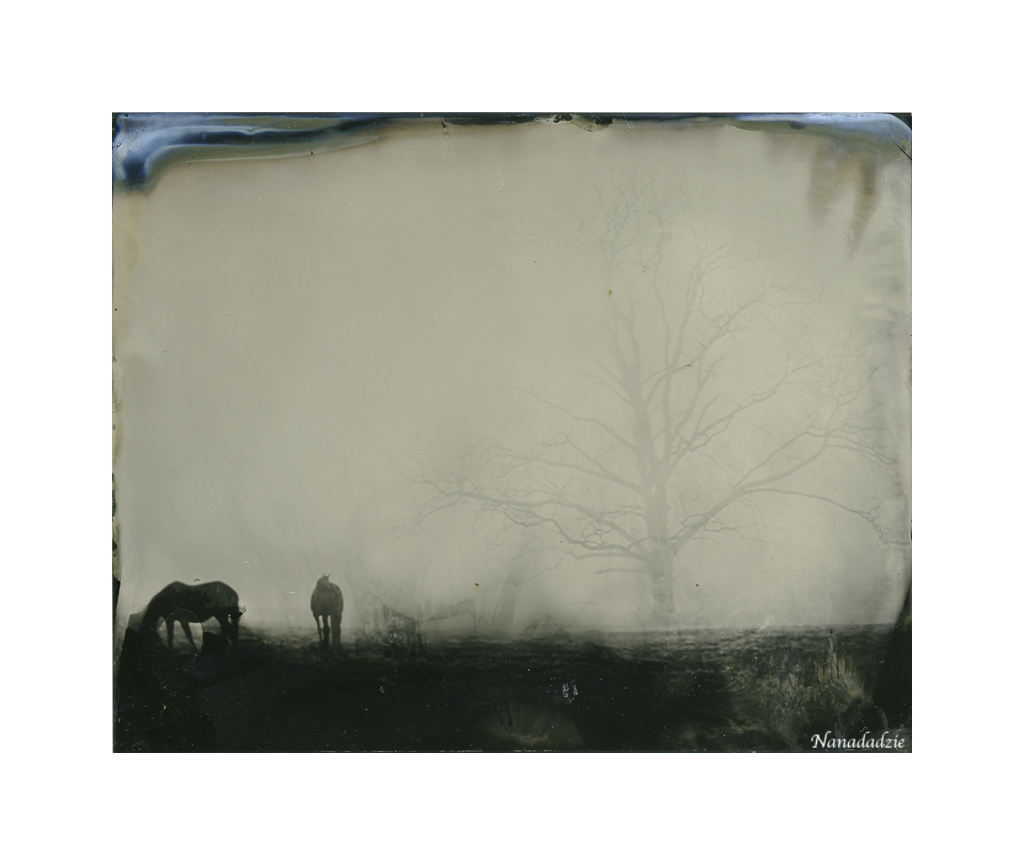 Wetplate - Other