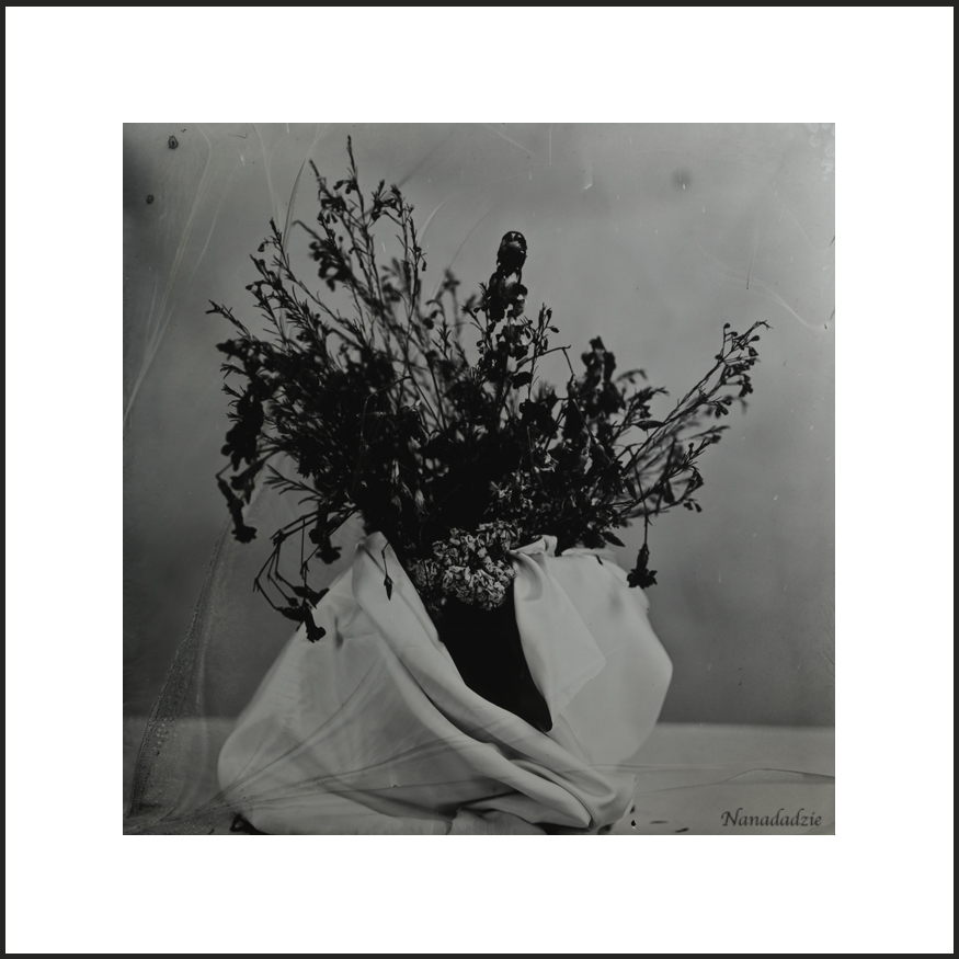 Wetplate - Other