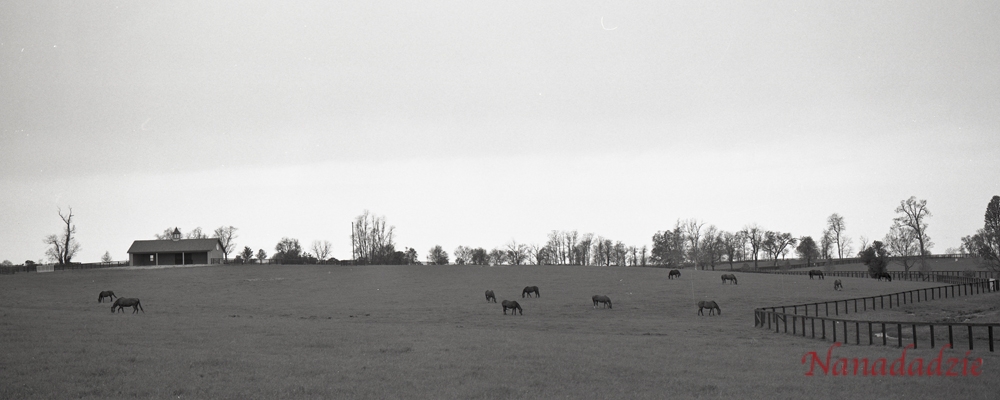 Film 