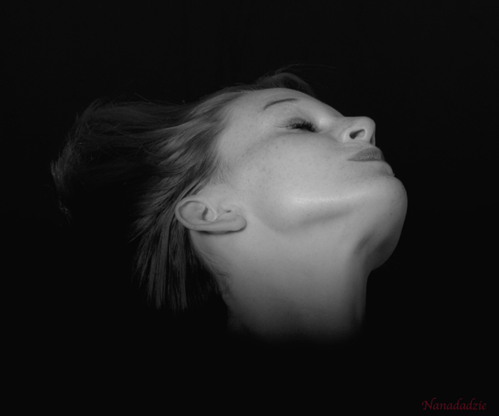 Portraits 