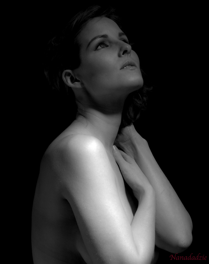 Portraits 