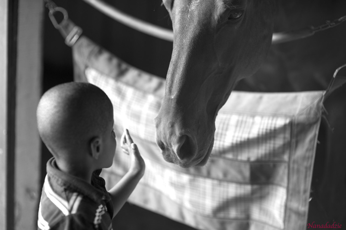 Kids 