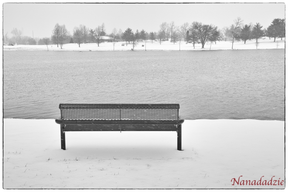 In the Snow 