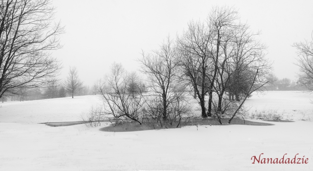 In the Snow 