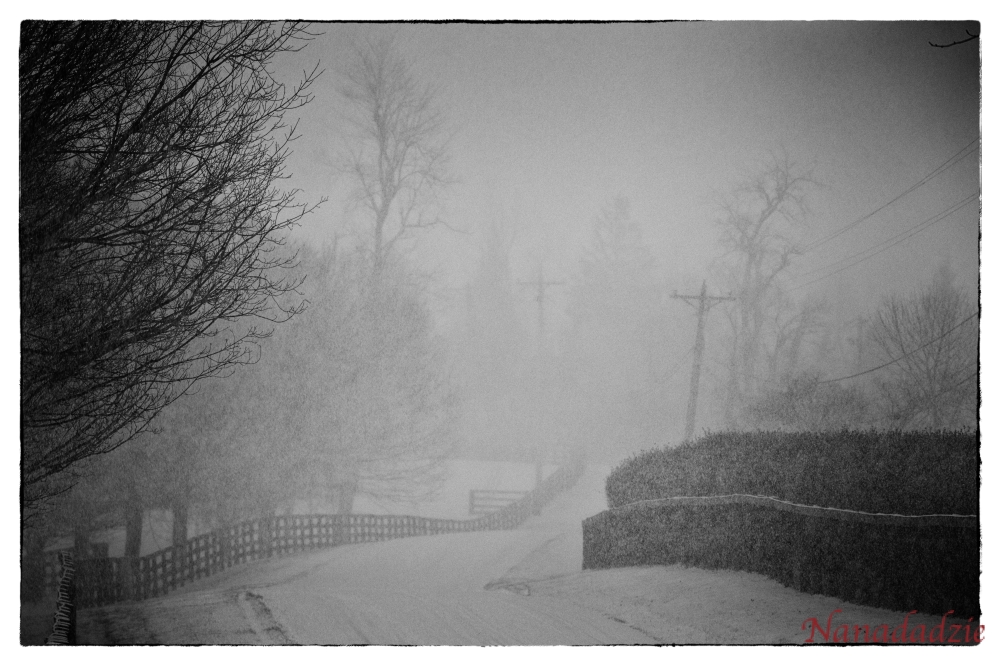 In the Snow 