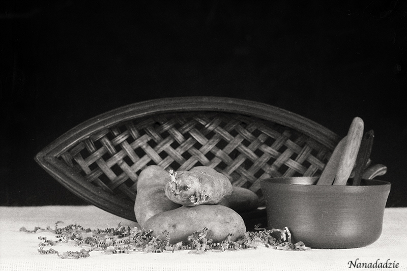 Still Lifes 