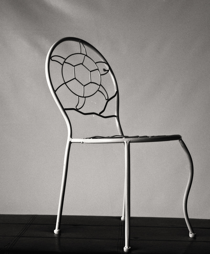 Still Lifes 