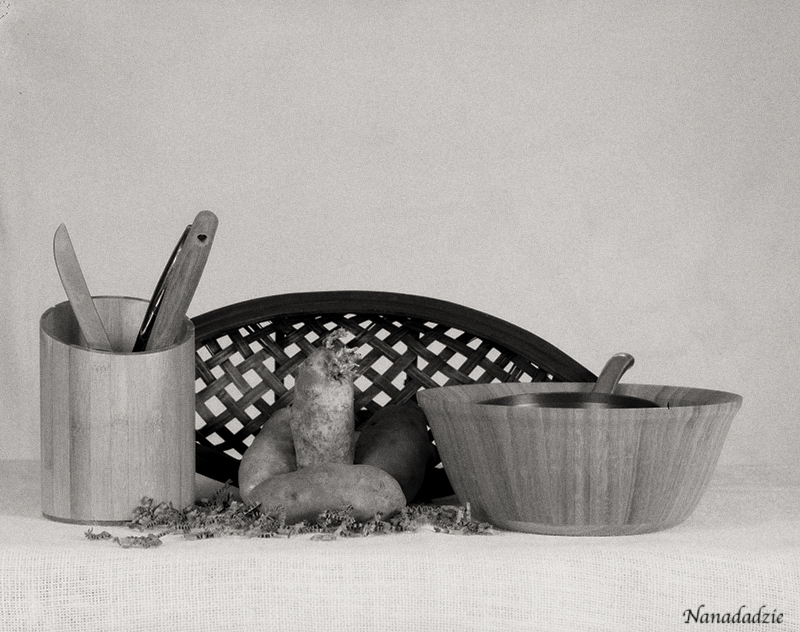 Still Lifes 