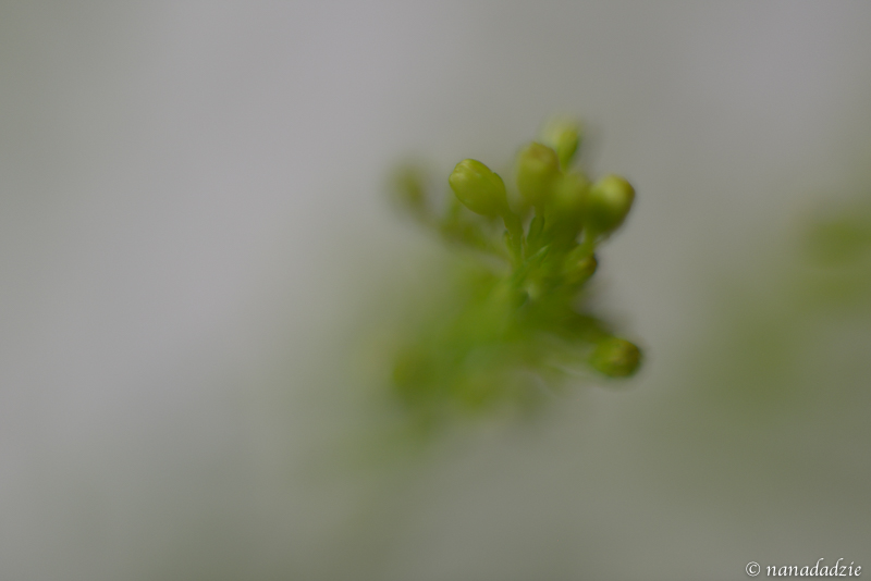 Abstracts 