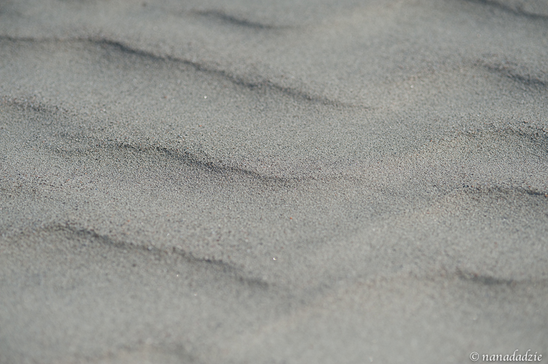 Abstracts 
