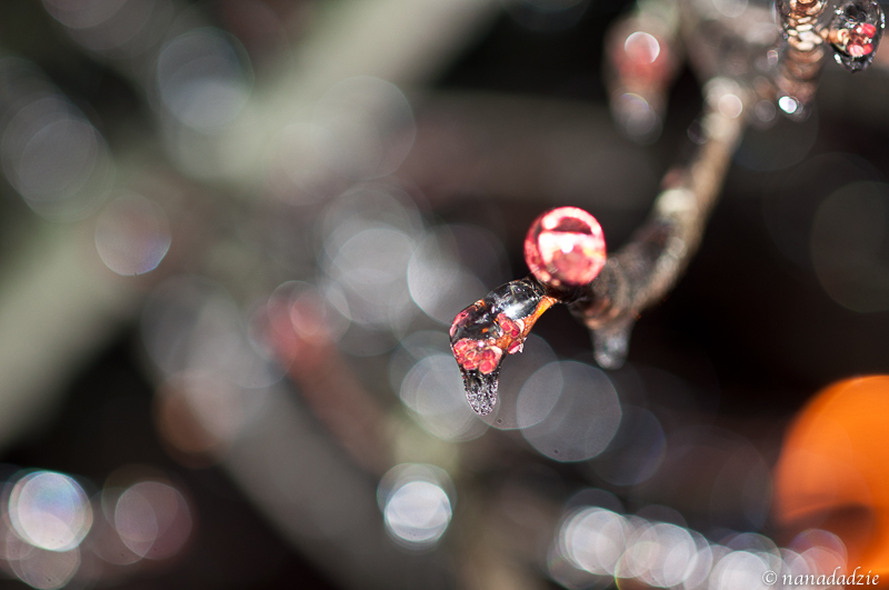 Abstracts 