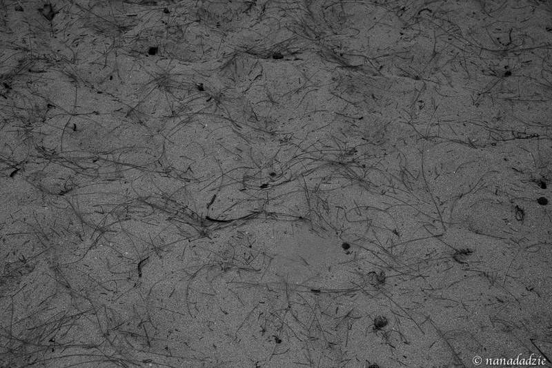 Abstracts 