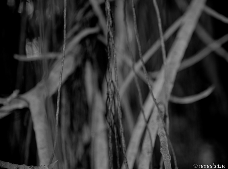 Abstracts 