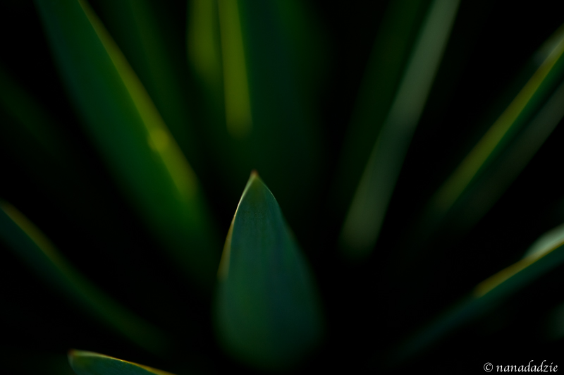 Abstracts 