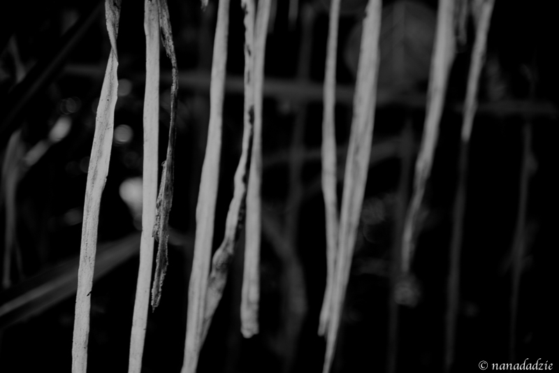 Abstracts 