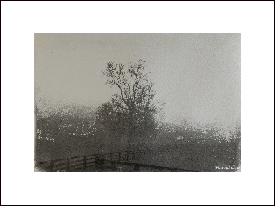 Gum Bichromate Prints
