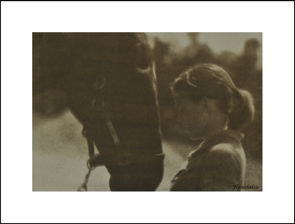 Gum Bichromate Prints