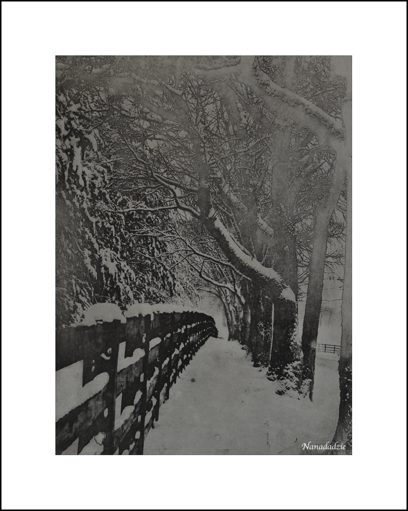 Copper Plate Photogravure
