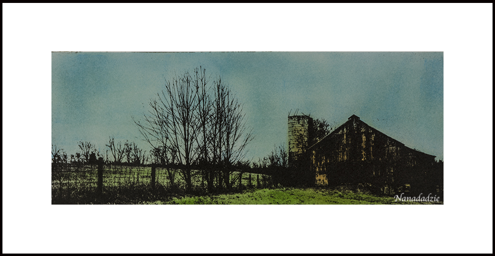 Gum Oil Prints