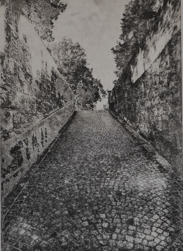 Photopolymer Intaglio Prints