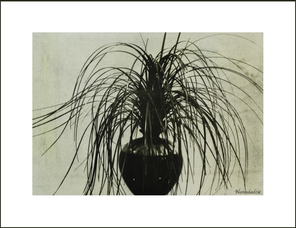 Gum Bichromate Prints