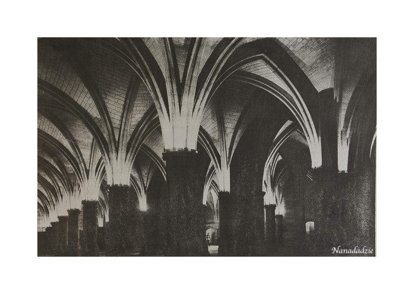 Gum Bichromate Prints