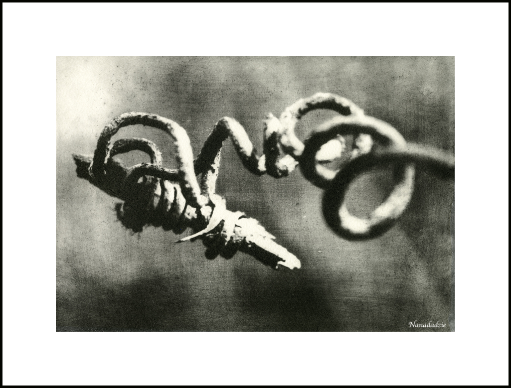 Photopolymer Intaglio Prints