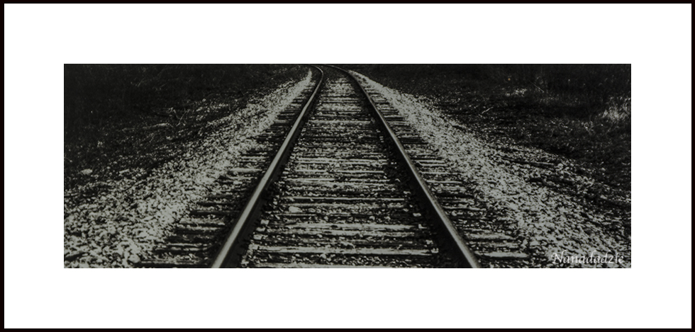 Platinum-Palladium Prints