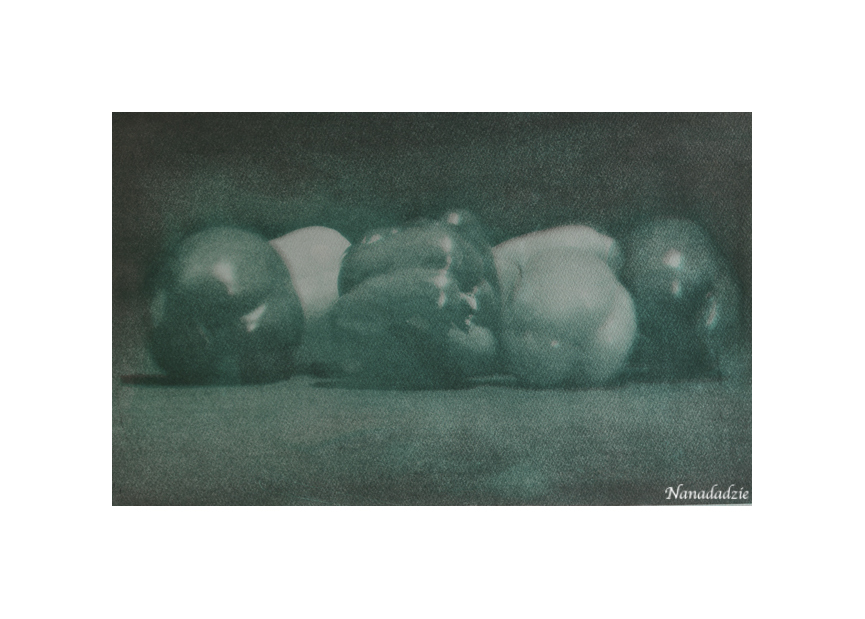Gum Bichromate Prints