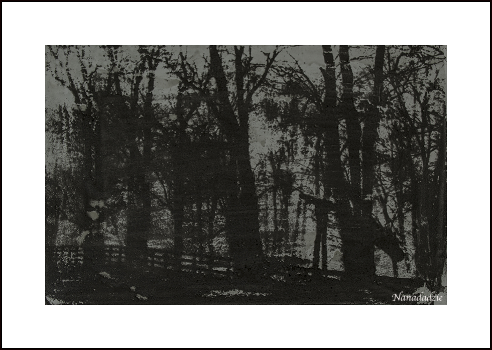 Gum Bichromate Prints