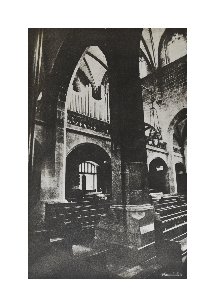 Gum Oil Prints