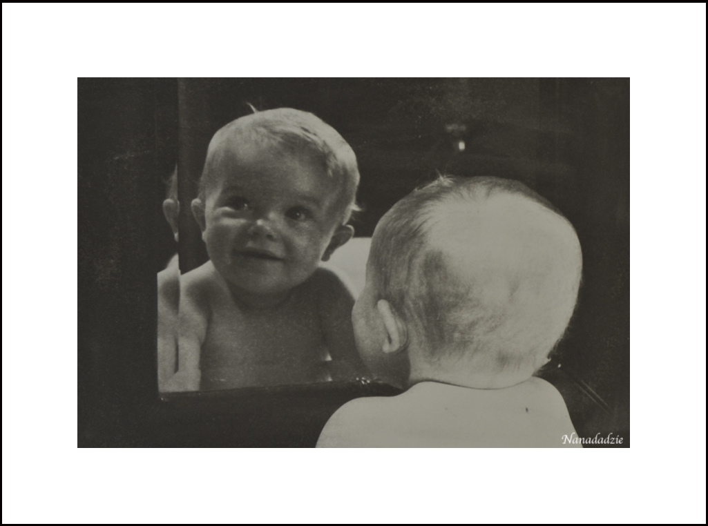 Gum Bichromate Prints