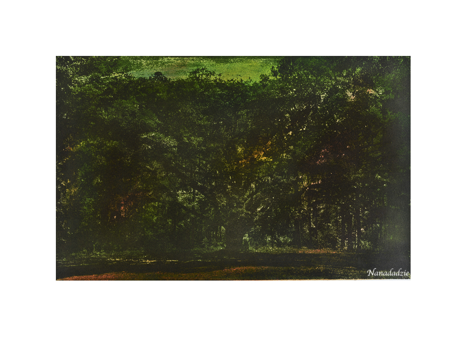 Gum Oil Prints