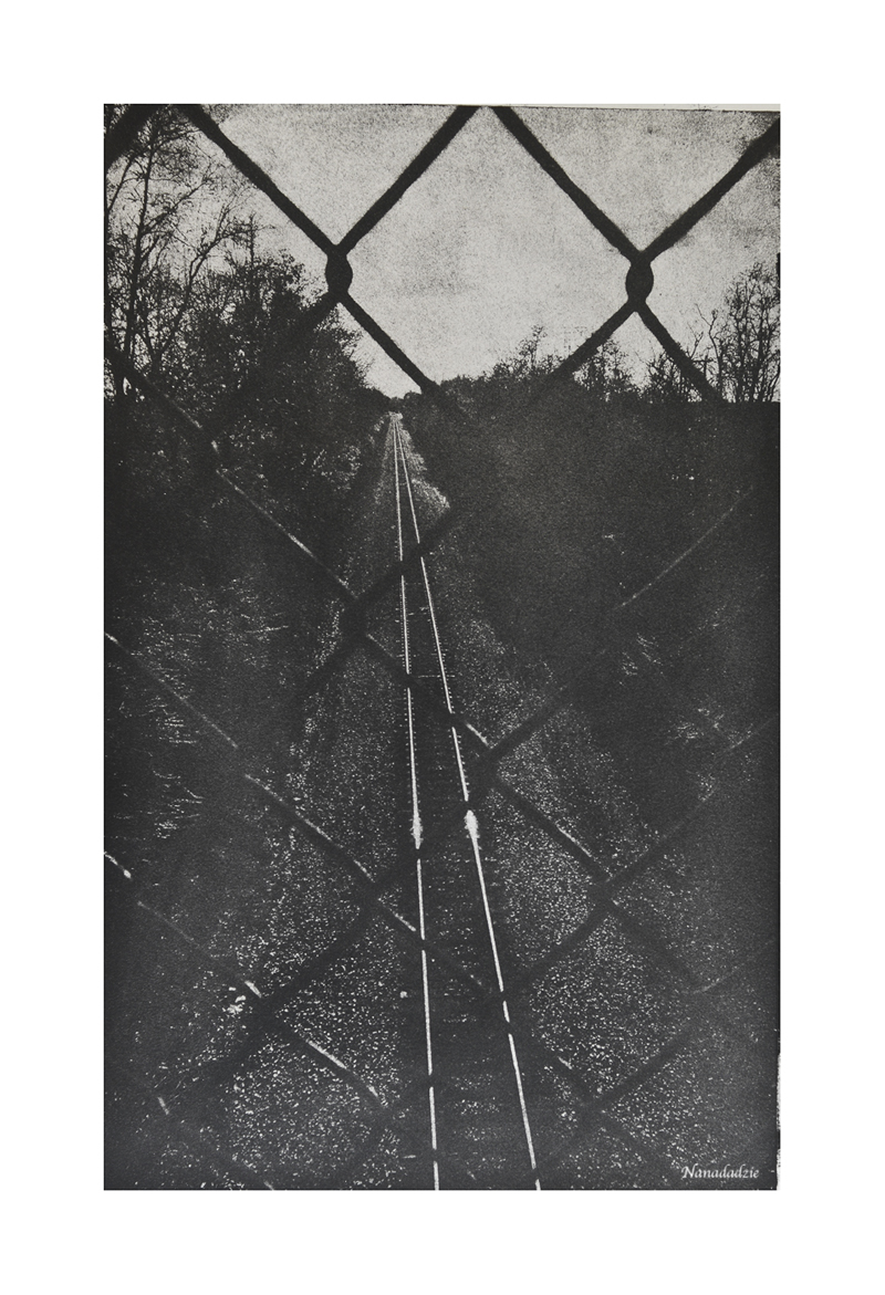 Gum Oil Prints