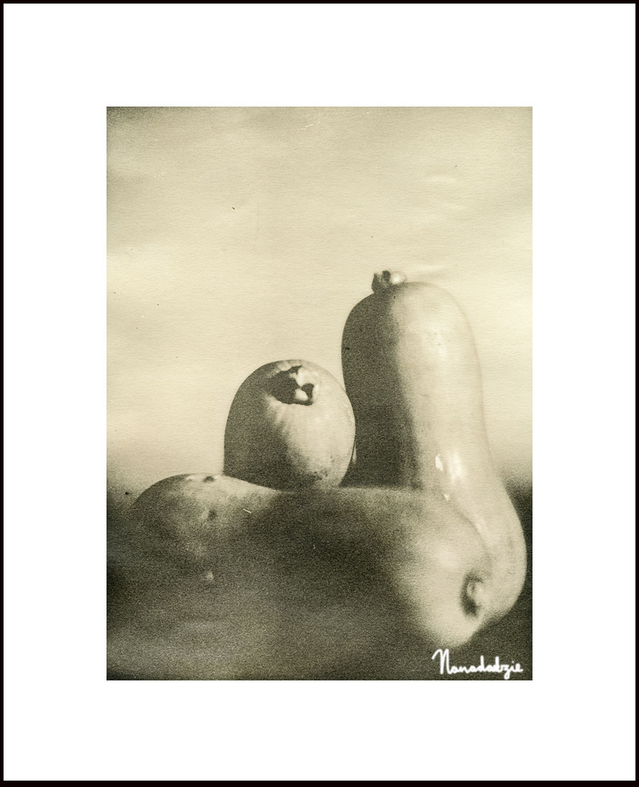 silver gelatin print and prints difference silver gelatin print and prints difference