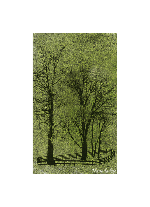Gum Oil Prints