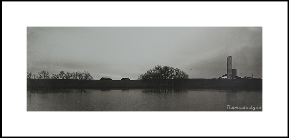 Platinum-Palladium Prints