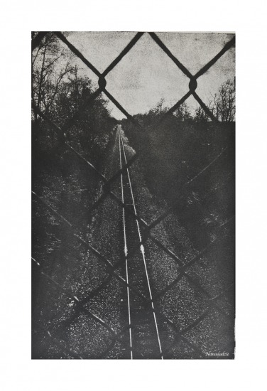 Gum Oil Prints